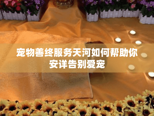 宠物善终服务天河如何帮助你安详告别爱宠