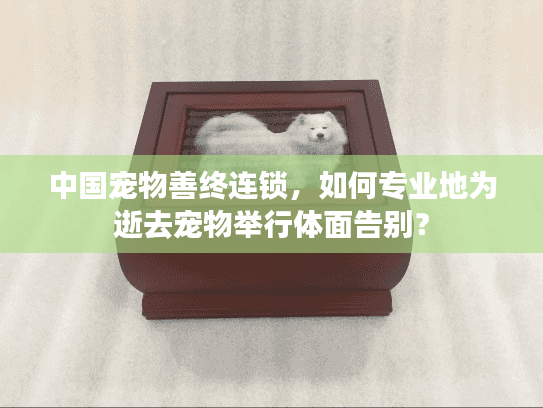 中国宠物善终连锁，如何专业地为逝去宠物举行体面告别？