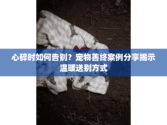 心碎时如何告别？宠物善终案例分享揭示温暖送别方式