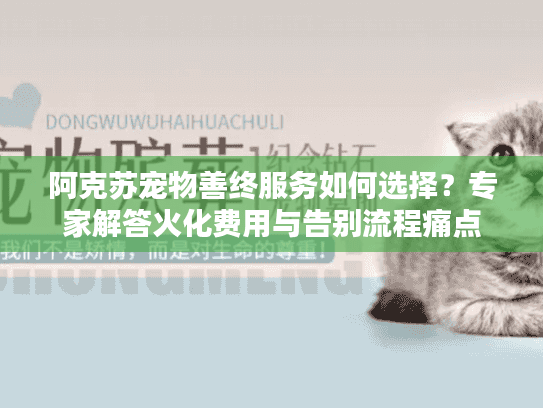 阿克苏宠物善终服务如何选择？专家解答火化费用与告别流程痛点