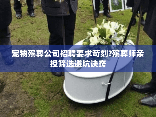 宠物殡葬公司招聘要求苛刻?殡葬师亲授筛选避坑诀窍