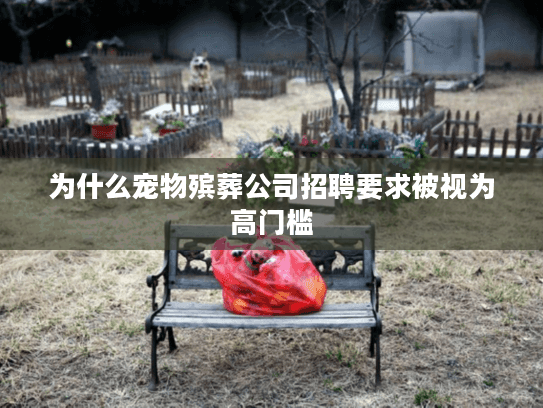 为什么宠物殡葬公司招聘要求被视为高门槛
