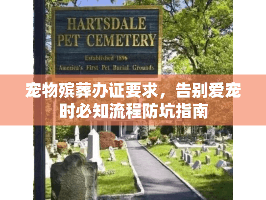 宠物殡葬办证要求，告别爱宠时必知流程防坑指南
