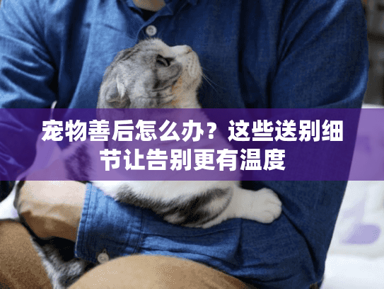 宠物善后怎么办？这些送别细节让告别更有温度