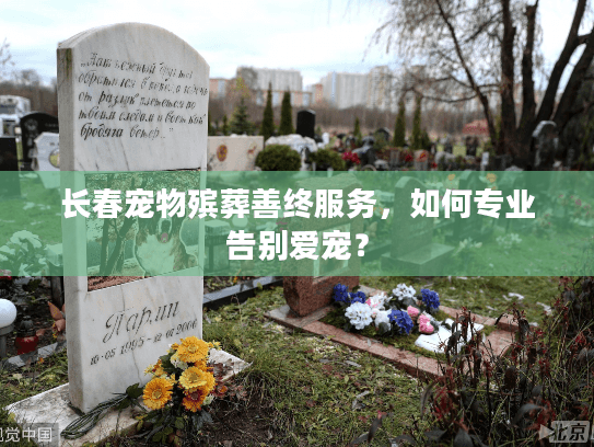 长春宠物殡葬善终服务，如何专业告别爱宠？
