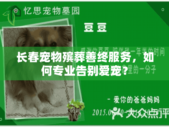 长春宠物殡葬善终服务，如何专业告别爱宠？