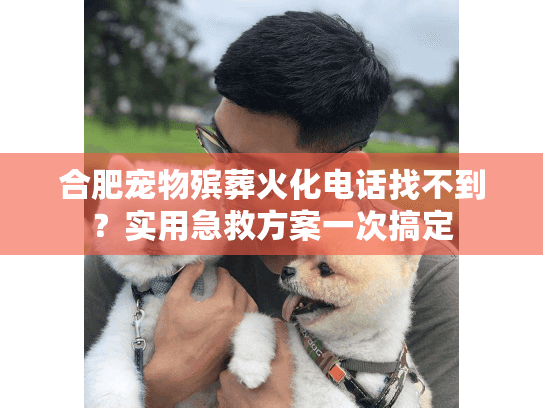 合肥宠物殡葬火化电话找不到？实用急救方案一次搞定