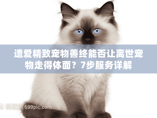 遗爱精致宠物善终能否让离世宠物走得体面？7步服务详解