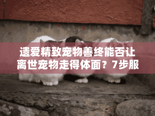遗爱精致宠物善终能否让离世宠物走得体面？7步服务详解