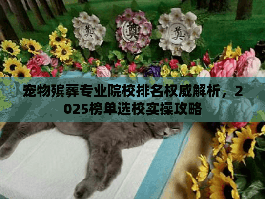 宠物殡葬专业院校排名权威解析，2025榜单选校实操攻略