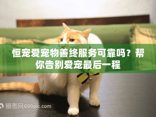 恒宠爱宠物善终服务可靠吗？帮你告别爱宠最后一程
