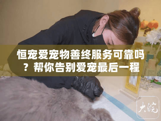 恒宠爱宠物善终服务可靠吗？帮你告别爱宠最后一程
