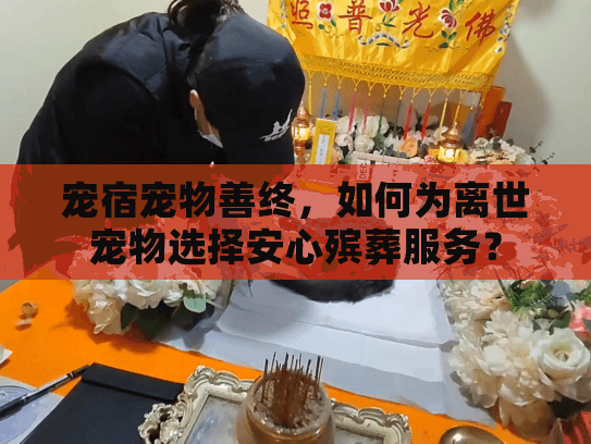 宠宿宠物善终，如何为离世宠物选择安心殡葬服务？