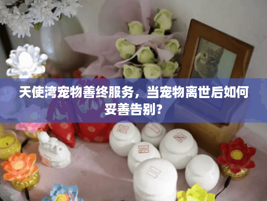 天使湾宠物善终服务，当宠物离世后如何妥善告别？