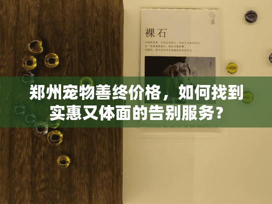 郑州宠物善终价格，如何找到实惠又体面的告别服务？