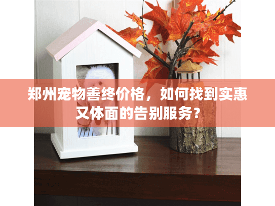 郑州宠物善终价格，如何找到实惠又体面的告别服务？