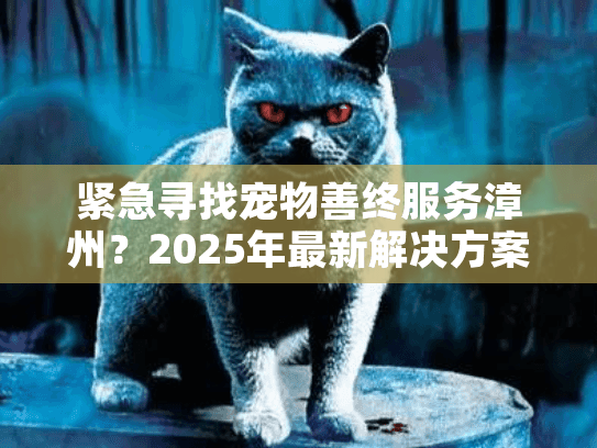 紧急寻找宠物善终服务漳州？2025年最新解决方案行动指南
