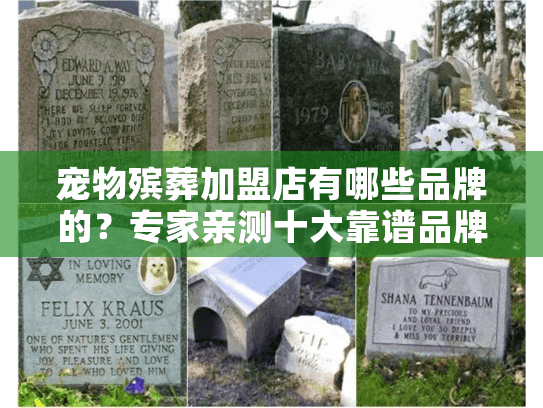 宠物殡葬加盟店有哪些品牌的？专家亲测十大靠谱品牌推荐！