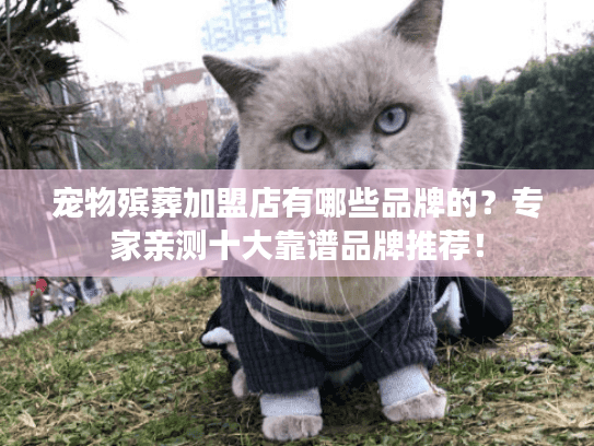 宠物殡葬加盟店有哪些品牌的？专家亲测十大靠谱品牌推荐！