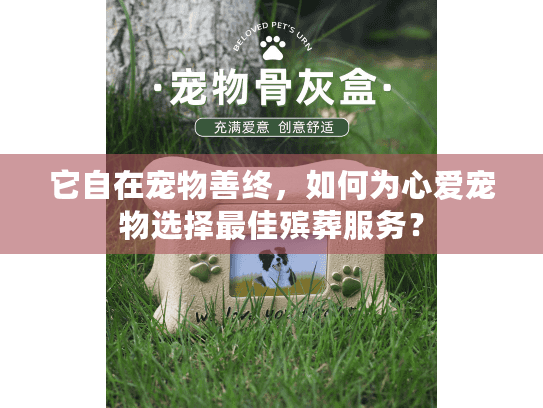 它自在宠物善终，如何为心爱宠物选择最佳殡葬服务？