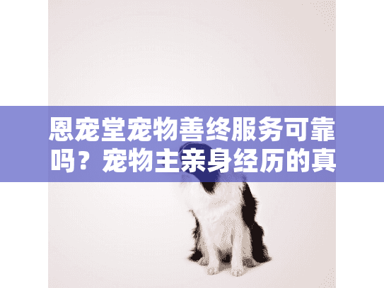恩宠堂宠物善终服务可靠吗？宠物主亲身经历的真实评价