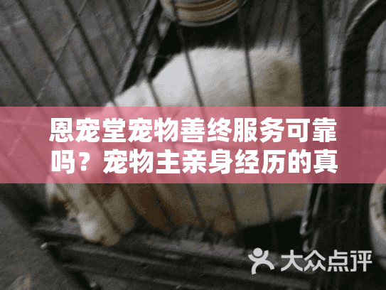 恩宠堂宠物善终服务可靠吗？宠物主亲身经历的真实评价