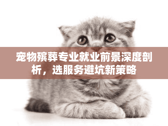 宠物殡葬专业就业前景深度剖析，选服务避坑新策略