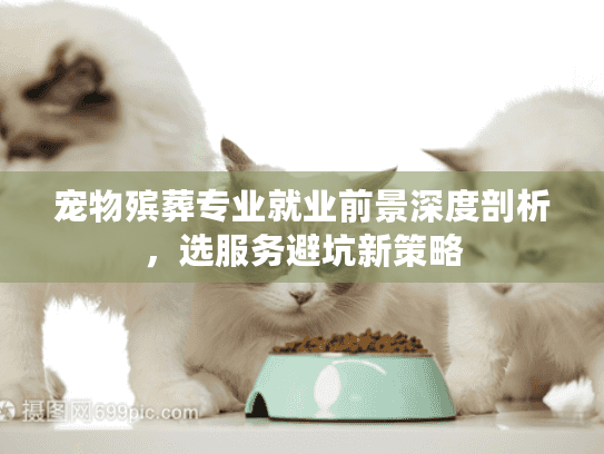 宠物殡葬专业就业前景深度剖析，选服务避坑新策略