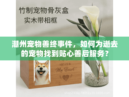 潮州宠物善终事件，如何为逝去的宠物找到贴心善后服务？