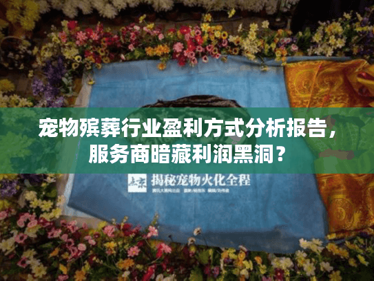 宠物殡葬行业盈利方式分析报告，服务商暗藏利润黑洞？