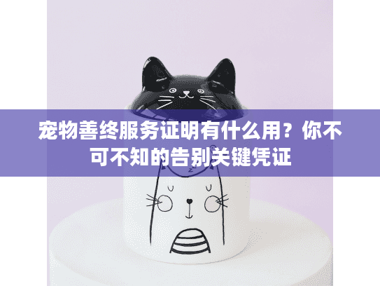 宠物善终服务证明有什么用？你不可不知的告别关键凭证