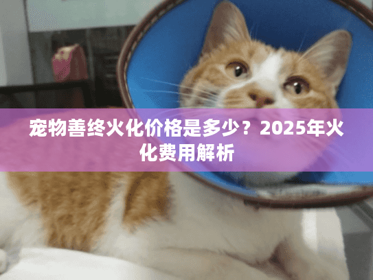 宠物善终火化价格是多少？2025年火化费用解析