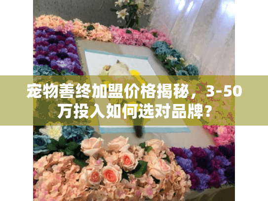 宠物善终加盟价格揭秘，3-50万投入如何选对品牌？