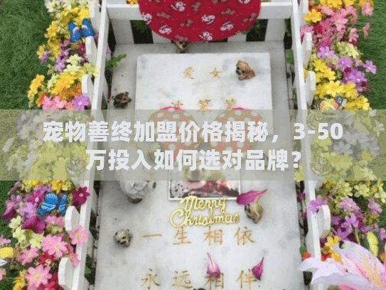 宠物善终加盟价格揭秘，3-50万投入如何选对品牌？
