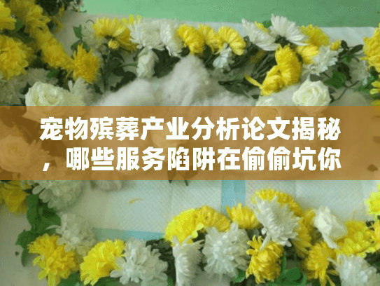 宠物殡葬产业分析论文揭秘，哪些服务陷阱在偷偷坑你？