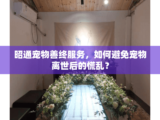 昭通宠物善终服务，如何避免宠物离世后的慌乱？