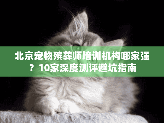 北京宠物殡葬师培训机构哪家强？10家深度测评避坑指南