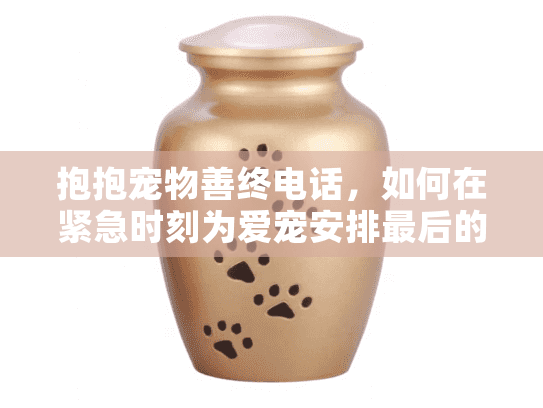抱抱宠物善终电话，如何在紧急时刻为爱宠安排最后的温柔告别？