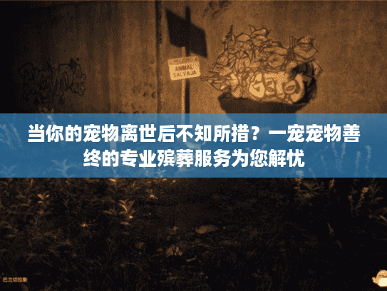 当你的宠物离世后不知所措？一宠宠物善终的专业殡葬服务为您解忧