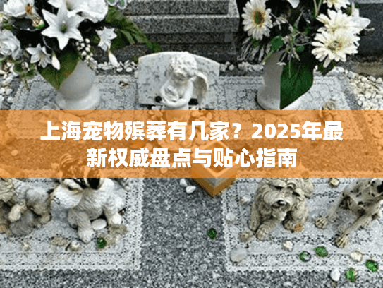 上海宠物殡葬有几家？2025年最新权威盘点与贴心指南