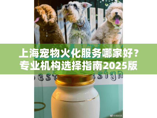 上海宠物火化服务哪家好？专业机构选择指南2025版