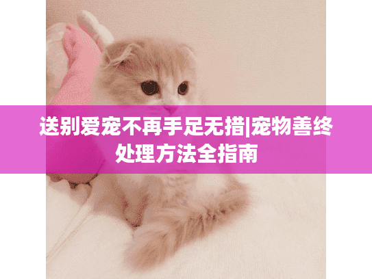 送别爱宠不再手足无措|宠物善终处理方法全指南