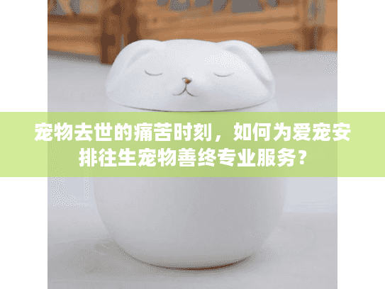 宠物去世的痛苦时刻，如何为爱宠安排往生宠物善终专业服务？