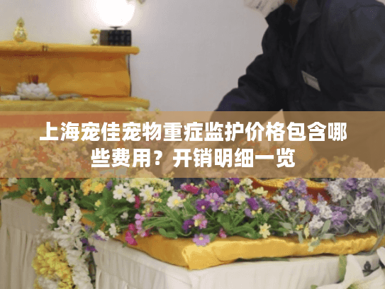 上海宠佳宠物重症监护价格包含哪些费用？开销明细一览