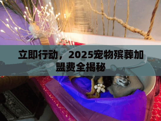 立即行动，2025宠物殡葬加盟费全揭秘