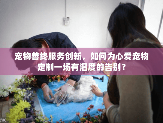 宠物善终服务创新，如何为心爱宠物定制一场有温度的告别？