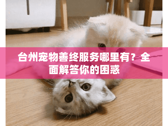 台州宠物善终服务哪里有？全面解答你的困惑