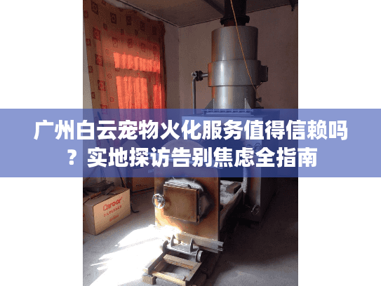 广州白云宠物火化服务值得信赖吗？实地探访告别焦虑全指南
