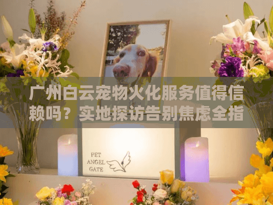广州白云宠物火化服务值得信赖吗？实地探访告别焦虑全指南