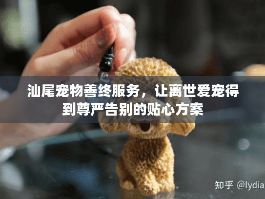 汕尾宠物善终服务，让离世爱宠得到尊严告别的贴心方案
